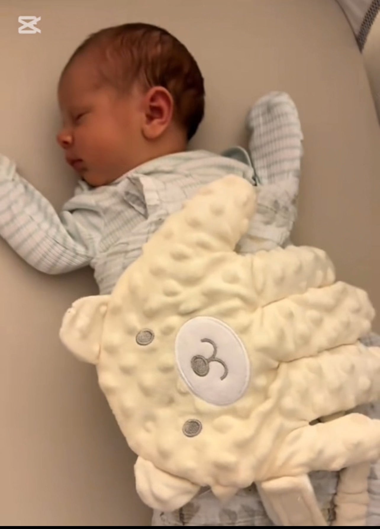 The Original Soothing Heartbeat Palm |WildPick™